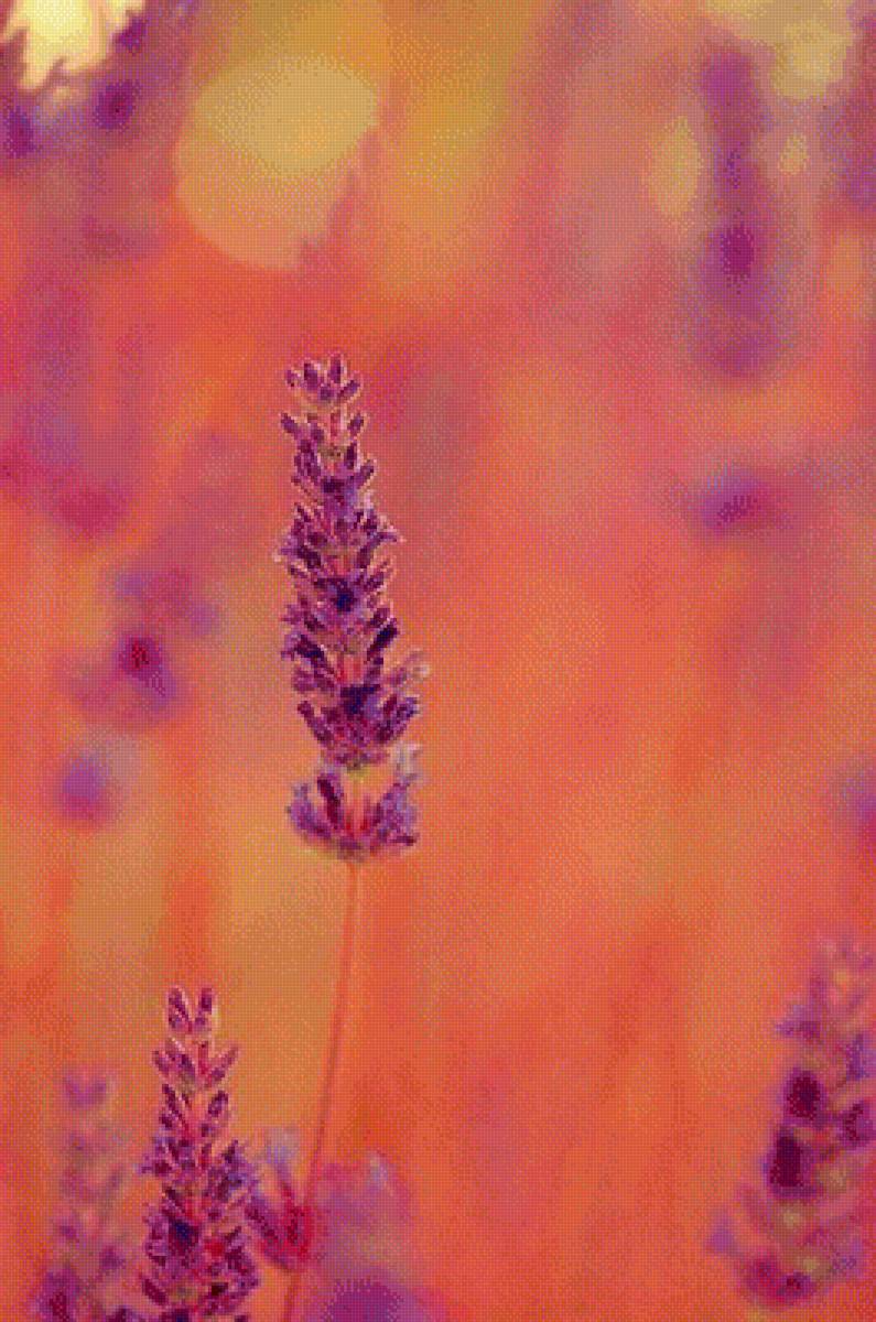 Розовое 2 - предпросмотр