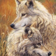 Схема вышивки «Волки»