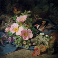 Схема вышивки «гнездо в цветах штповника»