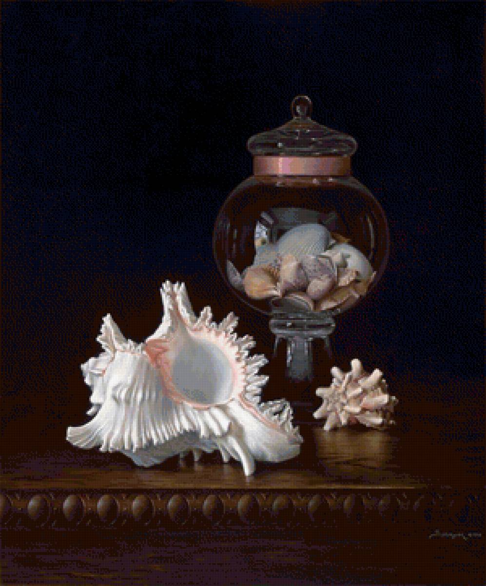 Ракушки - ракушки, натюрморт, ваза - предпросмотр