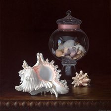 Схема вышивки «Ракушки»