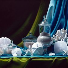 Ракушки, натюрморт