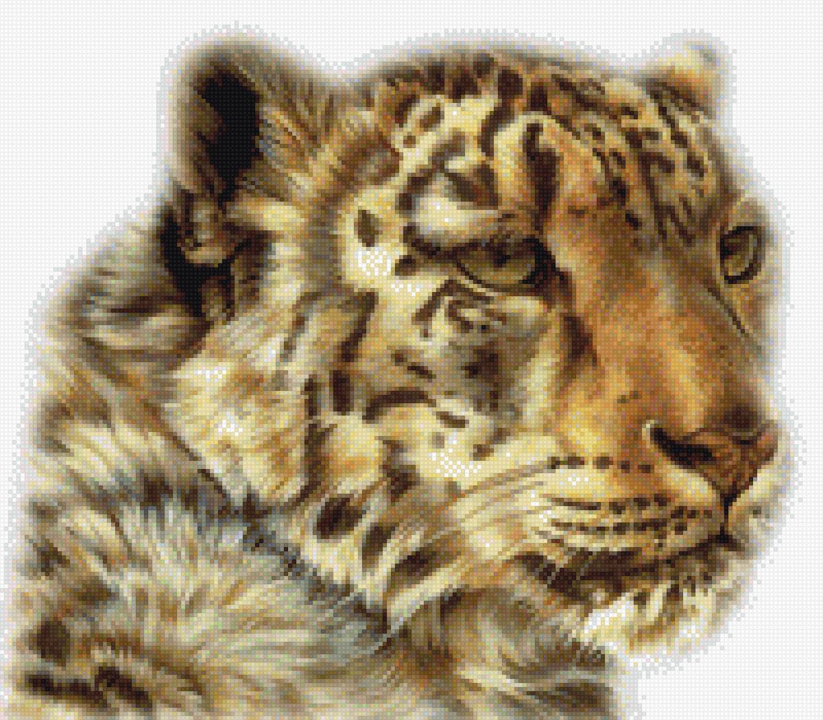 дикая кошечка - предпросмотр