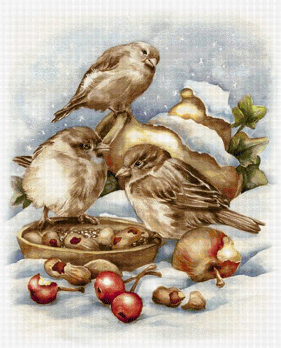 птички - предпросмотр