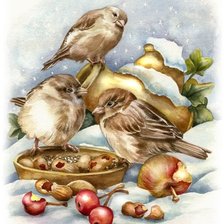 Схема вышивки «птички»