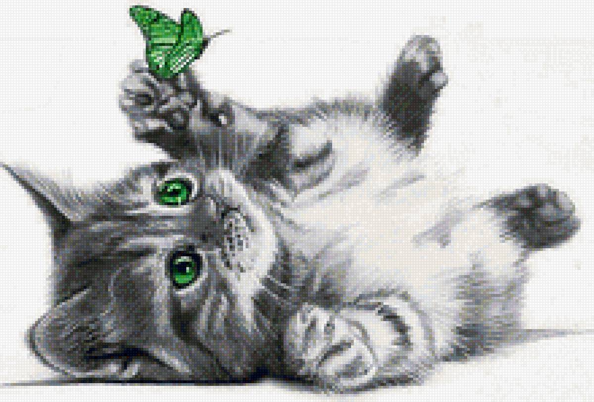 Котенок с зелеными глазами и зеленой бабочкой - котенок, бабочка - предпросмотр