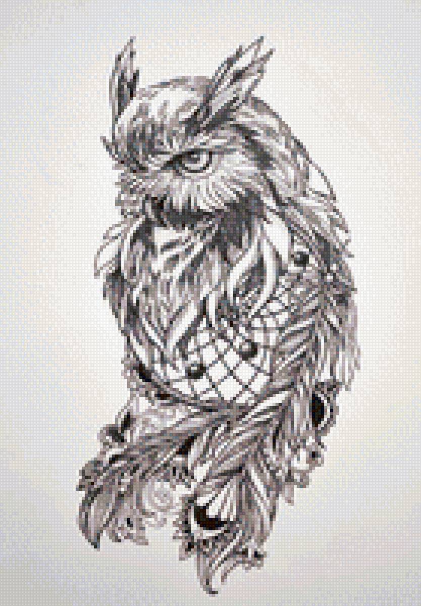 сова ловец - предпросмотр