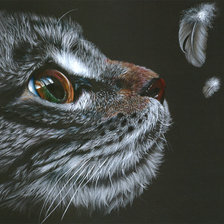 Схема вышивки «Любопытство»