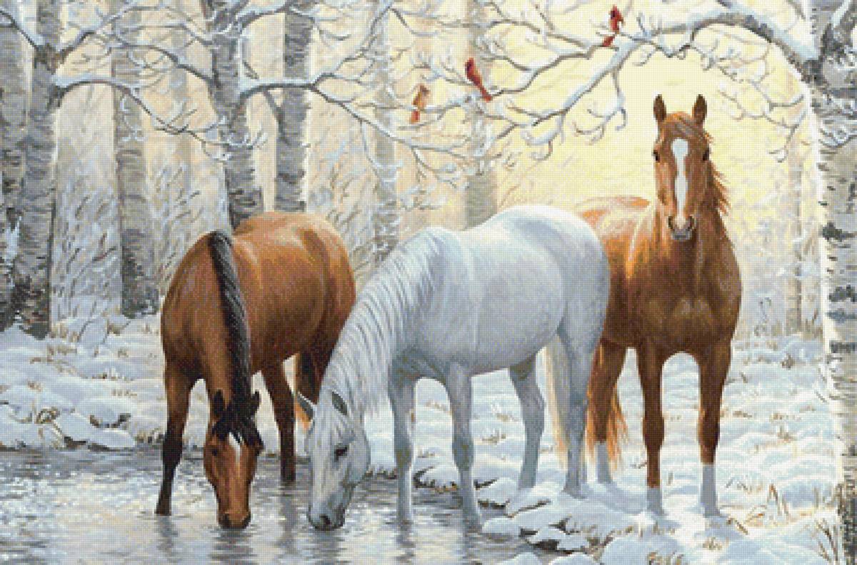 Серия "Фауна" - зима, лошади, лес, снег, кони, на водопое - предпросмотр