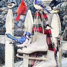 Схема вышивки «птички-невелички»