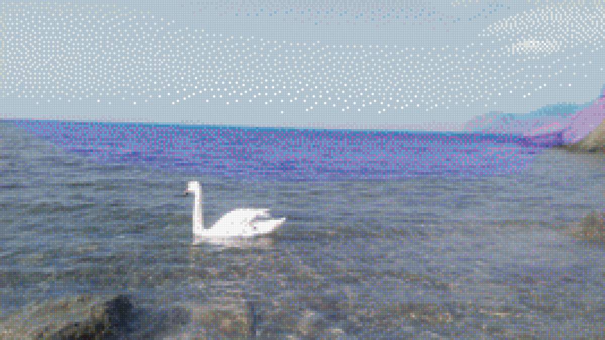 Лебедь Гоша - предпросмотр