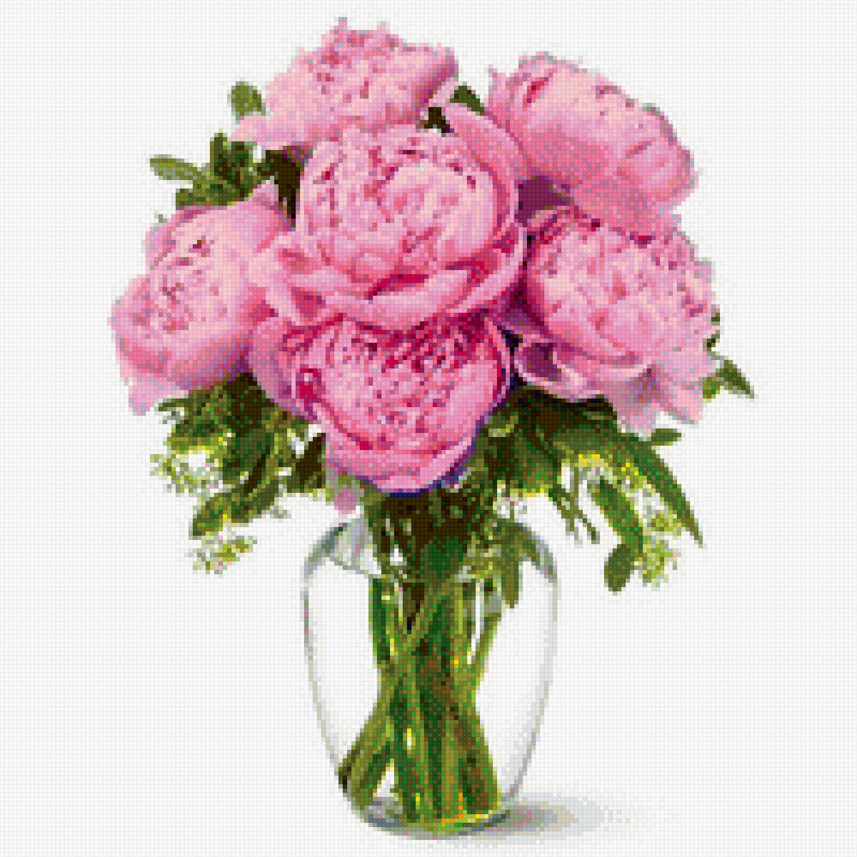 нежные пионы - предпросмотр