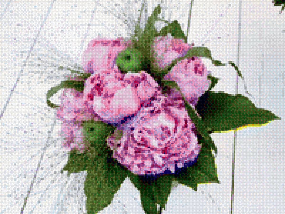 нежные пионы - предпросмотр