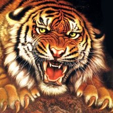 Схема вышивки «Тигр»