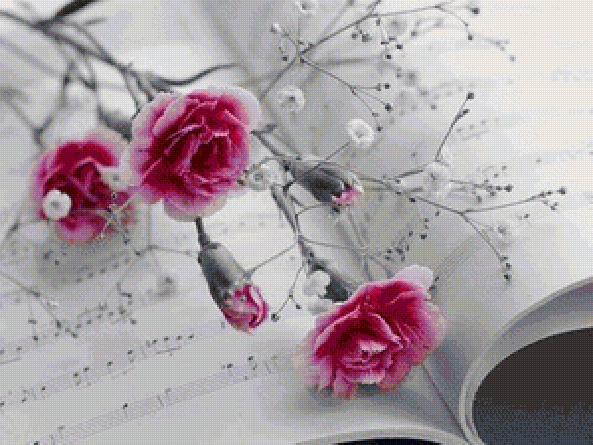 Цветы на черно-белом - цветы, монохром, ноты, гвоздики, черно-белое - предпросмотр