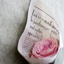 Схема вышивки «Розочка на черно-белом»