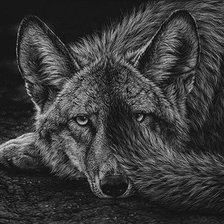 Схема вышивки «Волчица»