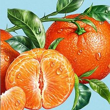 Схема вышивки «мандарин»