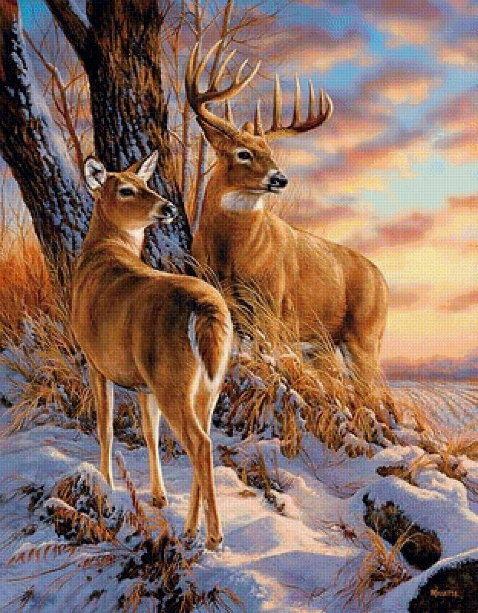 олени - картина, животные, зима, природа - предпросмотр