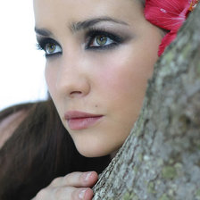 Схема вышивки «орейро»