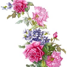 Схема вышивки «прекрасный букет»