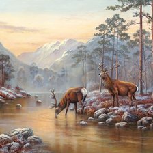 Схема вышивки «№1362916»