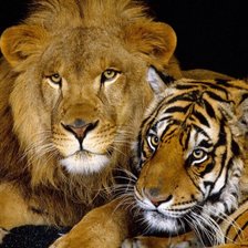 Схема вышивки «любовь»