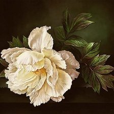 Схема вышивки «пион»