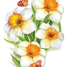 Схема вышивки «Нарциссы»