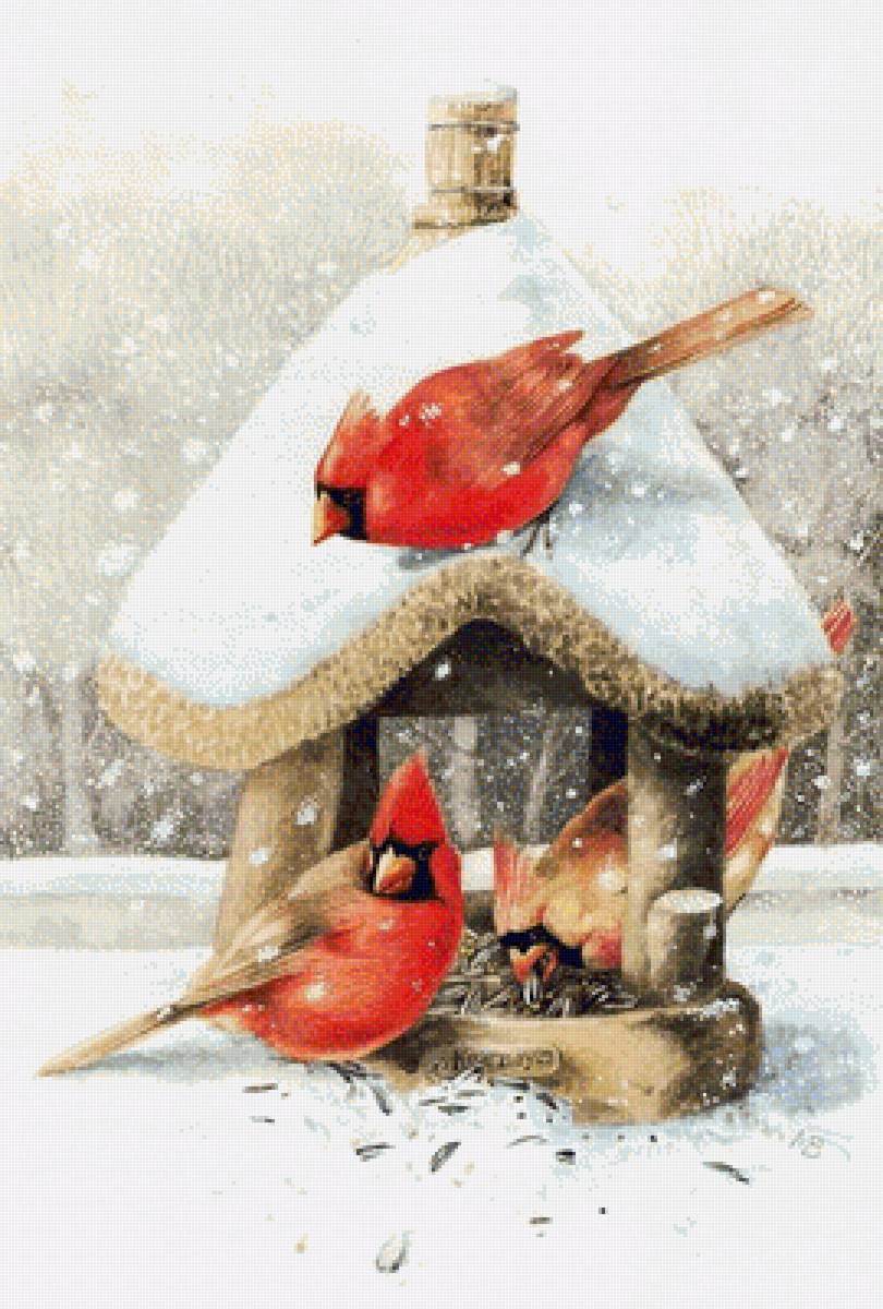 птицы - зима, птицы - предпросмотр