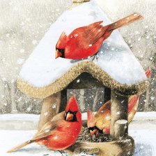 Схема вышивки «птицы»