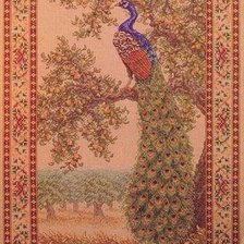 павлин в саду