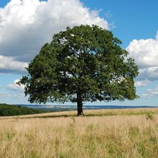 Схема вышивки «Пейзаж»