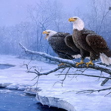 Схема вышивки «Птицы»