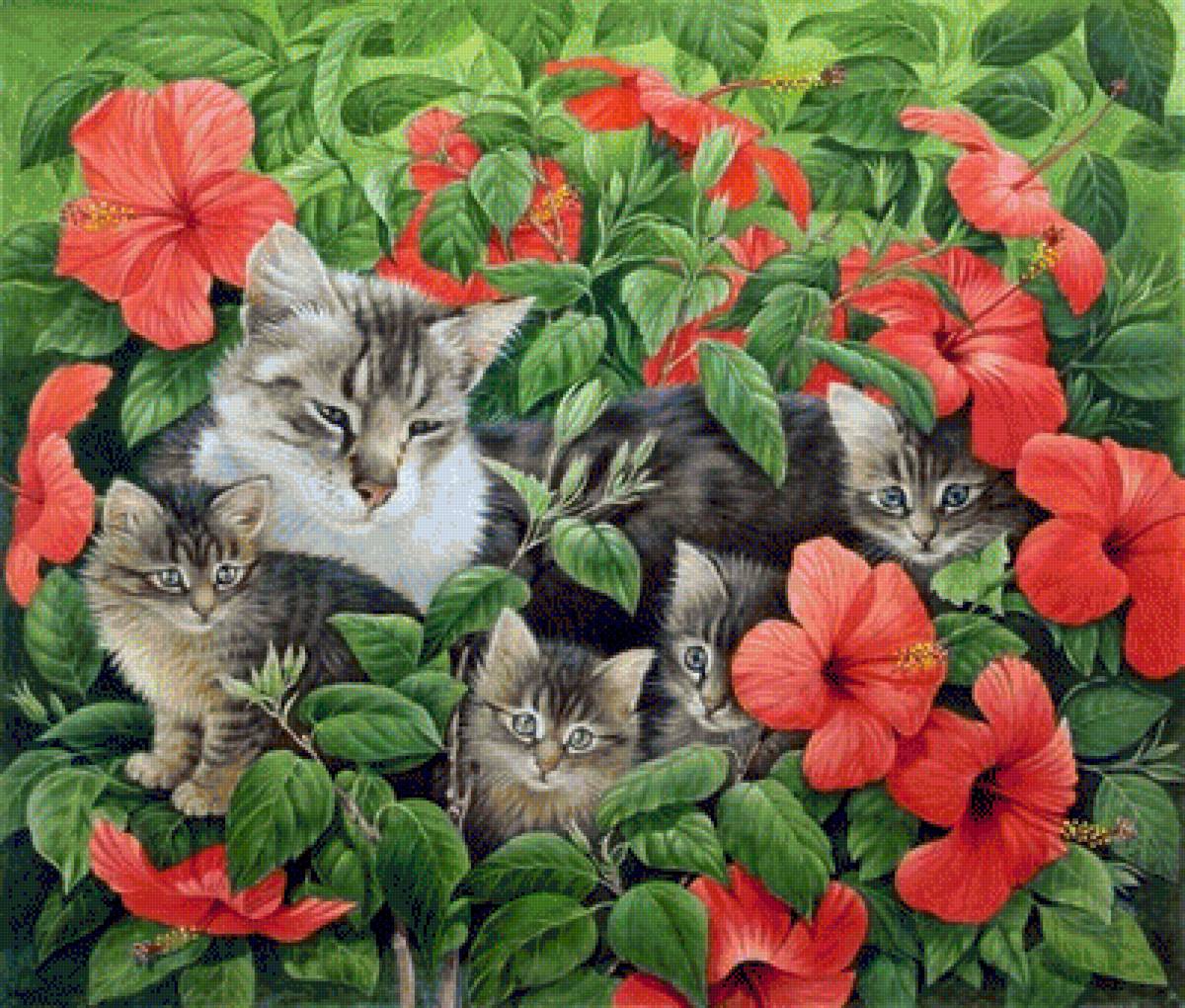 кошачье семейство - предпросмотр