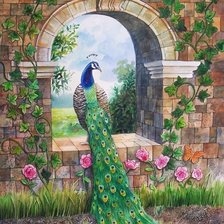 Схема вышивки «páv»