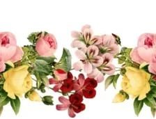 Схема вышивки «Цветы»