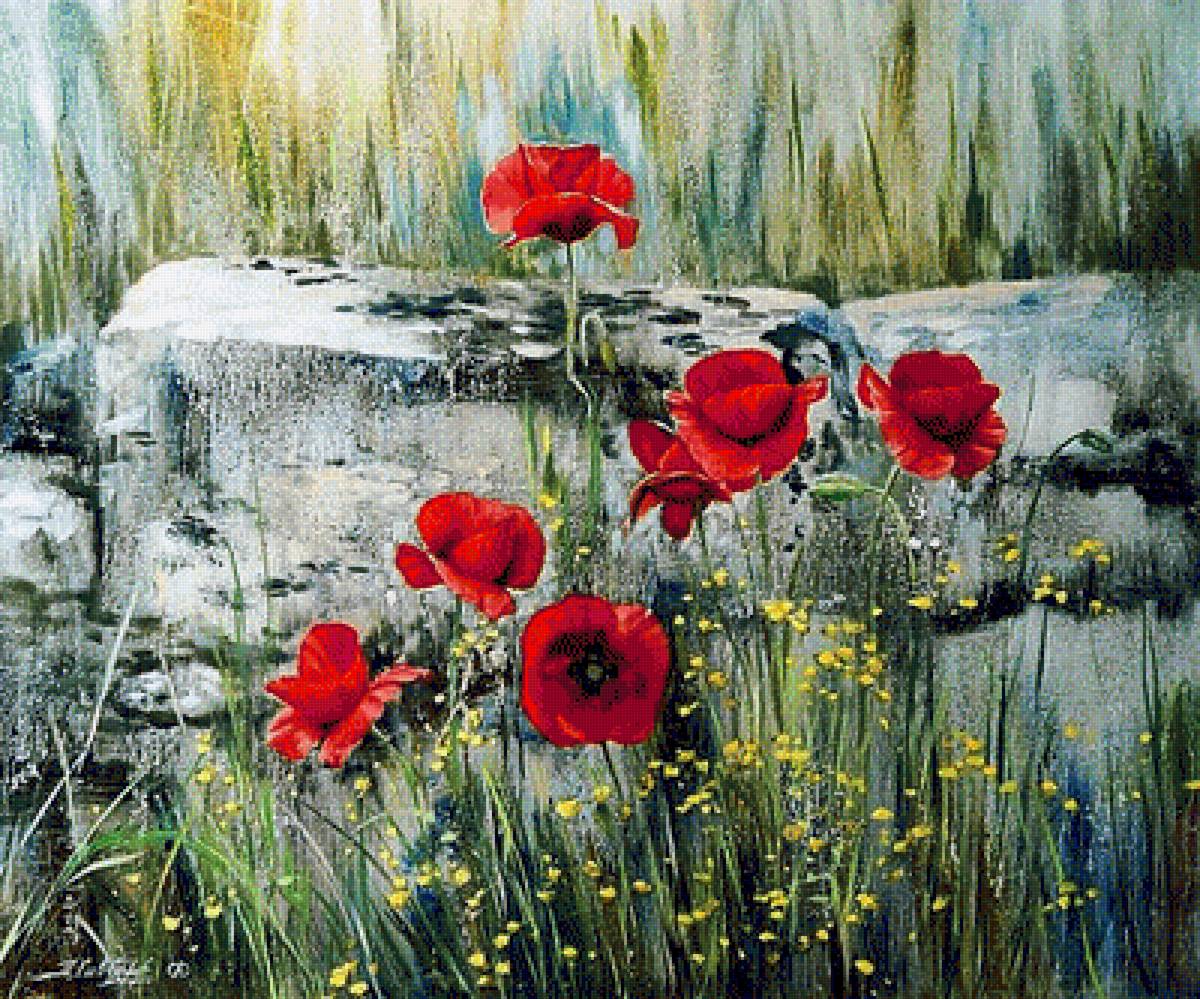 Худ. Савченко Алёна. Маки. - маки, цветы, живопись. - предпросмотр