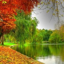 Схема вышивки «золотая осень»