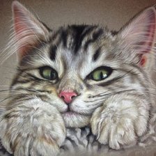 Схема вышивки «котенок»