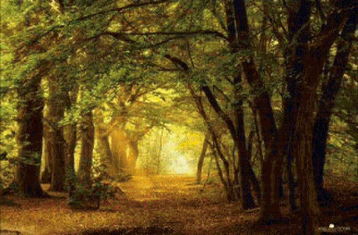 Лесной пейзаж - лесной пейзаж, лес, пейзаж - предпросмотр