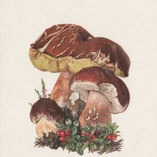 Схема вышивки «аромат осени»