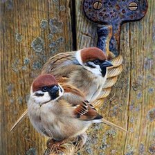 Схема вышивки «Воробушки»