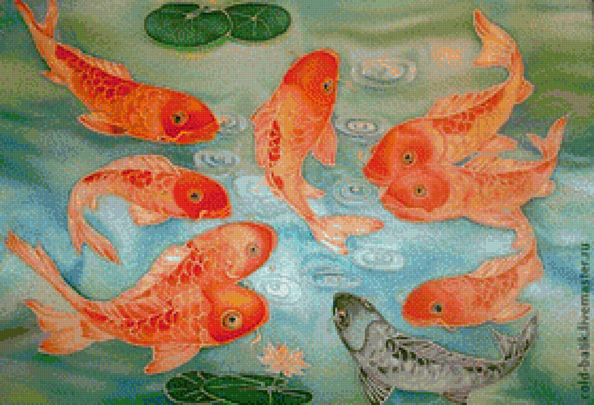 9 карпов - 9 карпов - предпросмотр