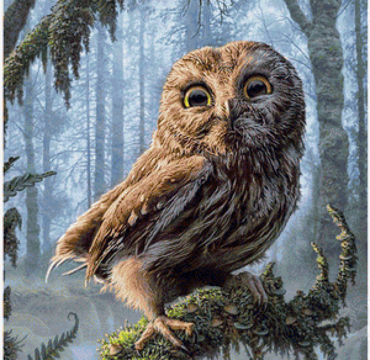 совушка - птицы, сова - предпросмотр