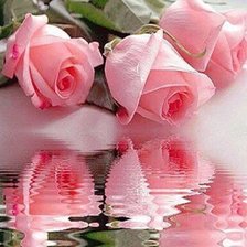 Схема вышивки «розы»