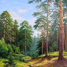 сосновый бор