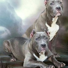 Схема вышивки «ршрршр»