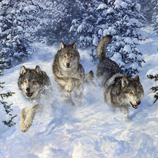 Схема вышивки «ошо»