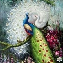 Схема вышивки «Два павлина»